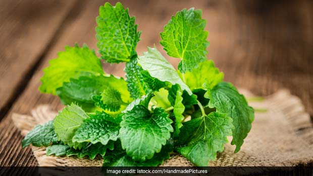 These Five Herbs Serve As A Natural Way In Healing Your Gut