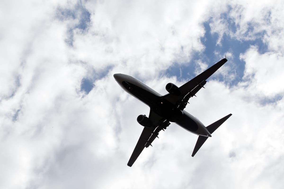 'Sus problemas de viaje no son mi problema': el pasajero que se negó a ceder el asiento a su familia en el avión fue elogiado en Reddit
