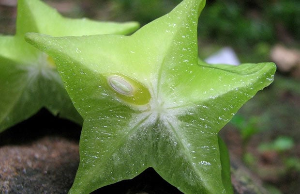 Star Fruit: This Amazing Fruit Can Help Control High Blood Pressure, Promote Weight Loss And Much More