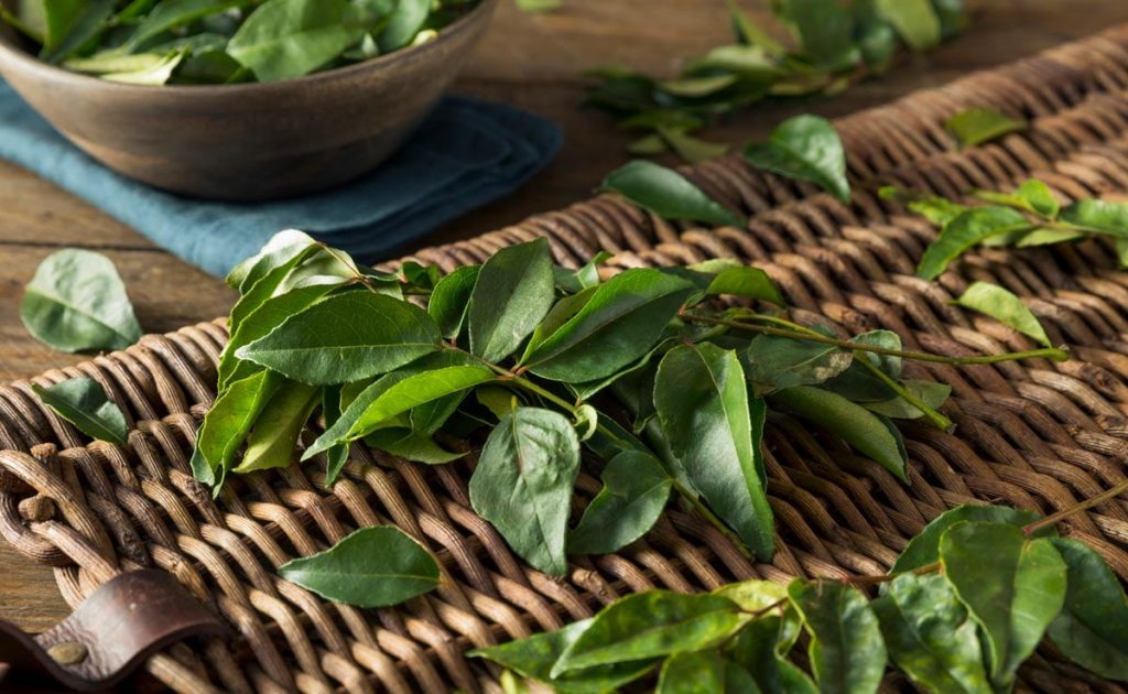 5 Reasons Why You Should Start Your Day With 5-6 Fresh Curry Leaves
